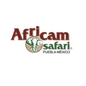 Imagen logotipo