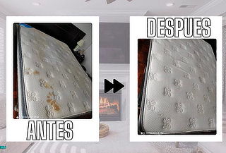 ¡Colchón Libre de Ácaros! Lavado + Desinfección y Más