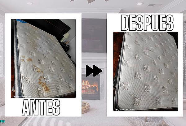 ¡Colchón Libre de Ácaros! Lavado + Desinfección y Más