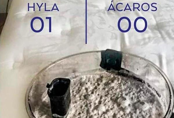 ¡Colchón Libre de Ácaros! Lavado + Desinfección y Más