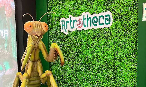 Artrotheca Exhibición Animales en Jockey Plaza