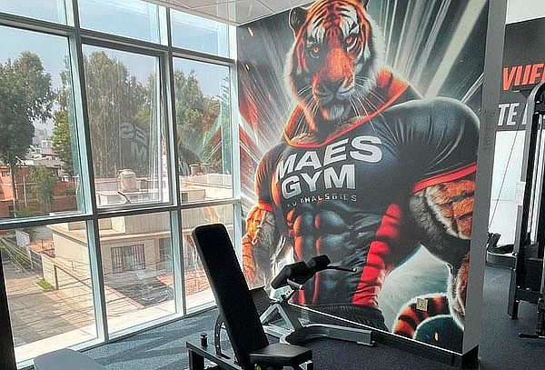Maes Gym en Surquillo: 1 a 12 Meses
