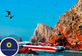 Paseo sobre el Mar a las Islas Ballestas 
