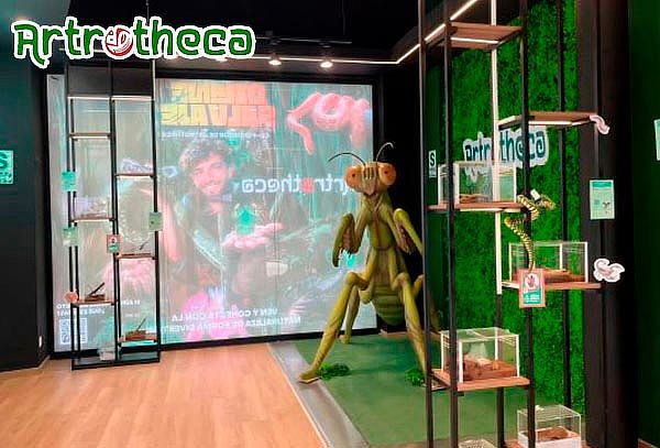 Artrotheca Exhibición Animales en Jockey Plaza