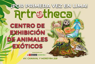 Super Artrotheca Animales Exóticos - General o Infantil
