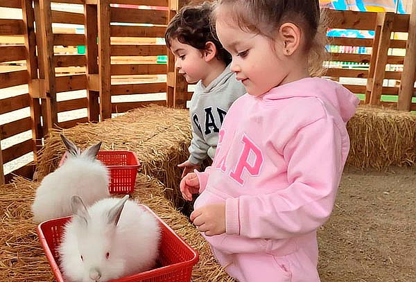ECOGRANJITA: Granjita Interactiva en Jockey Club
