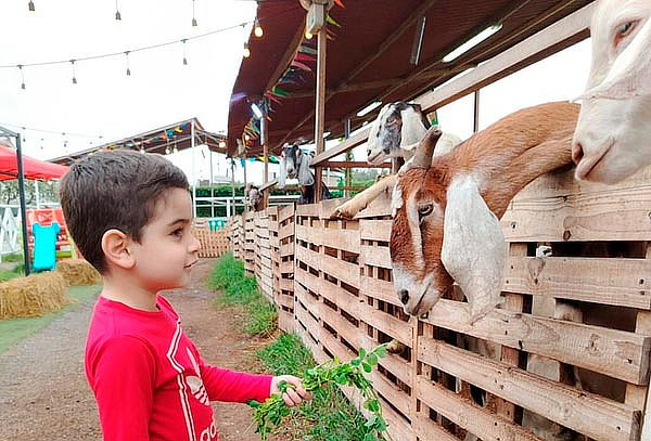 ECOGRANJITA: Granjita Interactiva en Jockey Club