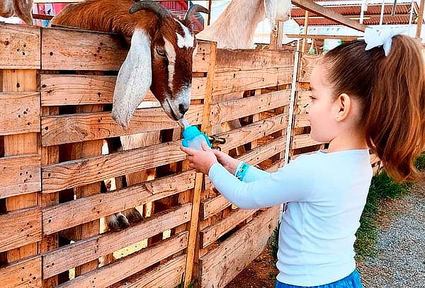 ECOGRANJITA: Granjita Interactiva en Jockey Club