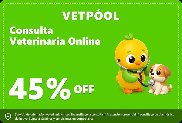 Consulta General Veterinaria Virtual de 30 Minutos