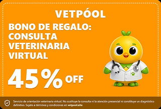 Bono de Regalo: Consulta Veterinaria Virtual