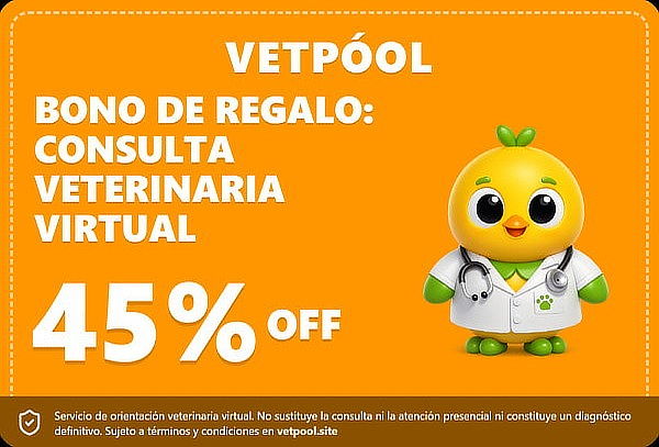 Bono de Regalo: Consulta Veterinaria Virtual
