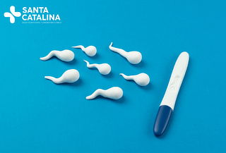 Evaluación de Fertilidad Masculina con Espermatograma