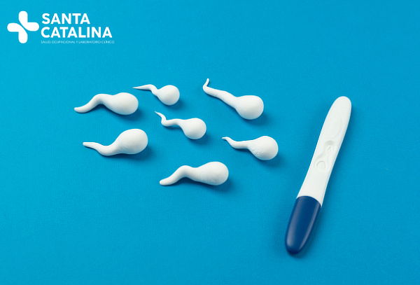 Evaluación de Fertilidad Masculina con Espermatograma