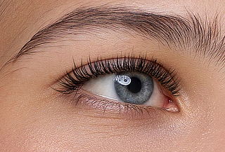 Lifting de Pestañas + Perfilado y Planchado de Cejas y Más
