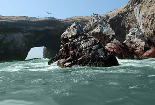 Full Day Paracas 