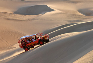 Full Day Paracas Ica 65%