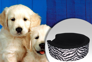 Camas para Mascotas 50%