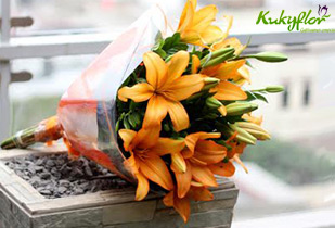 Kukyflor 50%