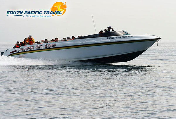 Full Day Paracas-Huacachina - Chincha - South Pacific Travel