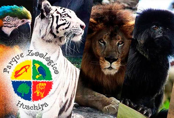 ¡Zoológico de Huachipa! Entrada de Lunes a Sábado