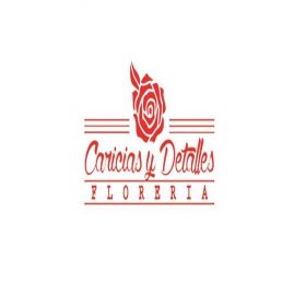 Imagen logotipo