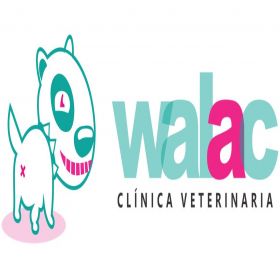 Imagen logotipo