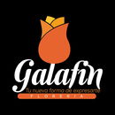 Imagen logotipo